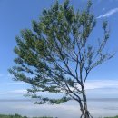 카페보리 - 송파구 충민로 184 | 카페보리