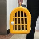 애플마트노송점 | 삿포로 이키마쇼~!