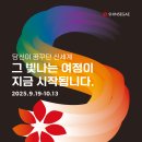디에프컴퍼니