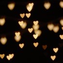 사랑문구 이미지