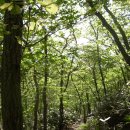 유천리 삼거리 이미지