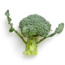 고운:결 이미지