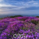 황매산식당 이미지