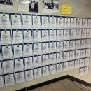 잠실파인만 이미지