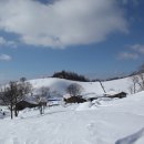 미숙목장 이미지