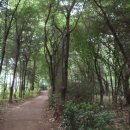 양천고성지 이미지