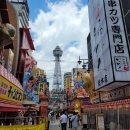 [일상] 쌈채소 많이 먹고싶은 날에 (진베리코: 광주 하남 삼겹살)