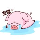 청주대학교 북문앞 이미지