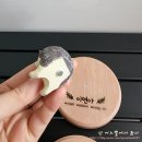 느티나무동물약국 | 유치보관함 6살 첫니 빠진 날 / 유치소독 하기