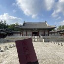 경희궁 | 서울 고궁 산책하기 좋은 곳, 조용해서 더 좋았던 경희궁 후기