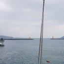 도선장