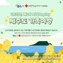 국민건강보험공단김해지사 | 2025년 저소득가정 제주도 가족여행 무료 지원｜캠코×대한적십자사 희망Replay