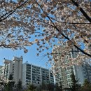 된밭공원 이미지