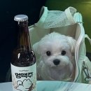 멍마트