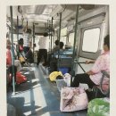 가남동물병원 Daum카페