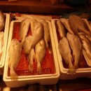 자인수산 이미지