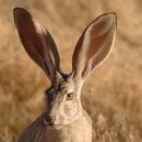 벼리 게스트하우스 이미지