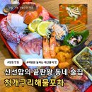 해물포차 | 창원 중앙동술집 청개구리해물포차 | 신선한 해산물 안주 맛집 방문 후기