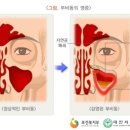 J0191 이미지