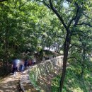 세계문화유산인문학 | 공주 백제산성 세계문화유산 공산성 풍경 산책 후기