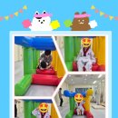 라이온 태권도 이미지