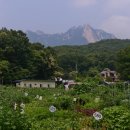 주봉농장 이미지