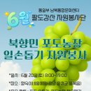 홍예팜