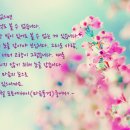 - 조용철 포토에세이＜마음풍경＞중에서 - 이미지