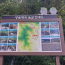 ♡24~08~07강원도 정선 백석산 들머리 항골 숨 바우길 백석산 항골 숨바우길 계곡 산행 날머리 원점산행 14km♡ 이미지