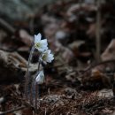 중도카센타 이미지