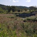 남창농장 이미지