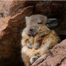 포비PC방 이미지