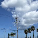 신트라움 이미지