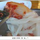 손국시