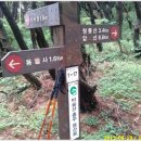 대구대진초등학교 이미지