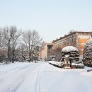 오산대학 앞 이미지