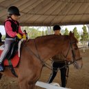 대월초교 이미지