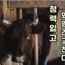 독일렉스톤보청기 이미지