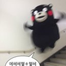 Domus(도무스) 이미지