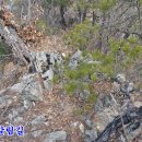 금산산림문화타운 이미지