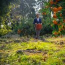 제주달다 이미지