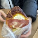 하스베이커 이미지