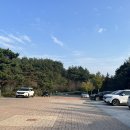보성 아이랑 갈만한 곳 공룡랜드 ‘비봉공룡공원’ 보성공룡박물관 ㅣ마술쇼, 풍선쇼
