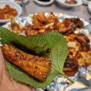 회와 멍게 친구들 이미지