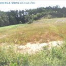 덕상2리(장봉) 경로당1 | (충북 증평군토지(임야)경매) 증평군 증평읍 덕상리 10-20 ○ 2017타경11196 예상낙찰가