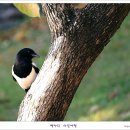 풍년공원 이미지