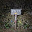 돌산신발