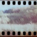 세탁을함께하는사람들 이미지