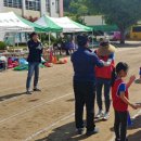 낙서초등학교 이미지