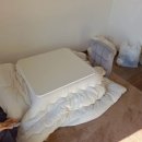 (주)엠앤케이팜 | 일본 오사카 워홀일기 3주차 코타츠 도착!치이카와 모구모구 혼포, 초밥 팝업, 중고 오타쿠샵탐방